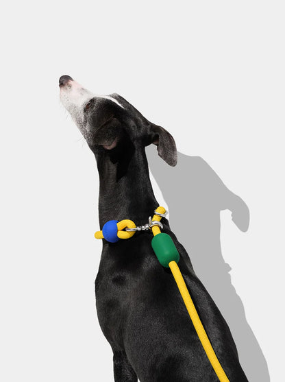 Connect Hands-Free Rope Leash - Chroma