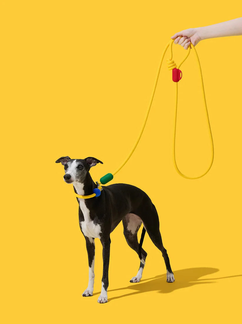 Connect Hands-Free Rope Leash - Chroma