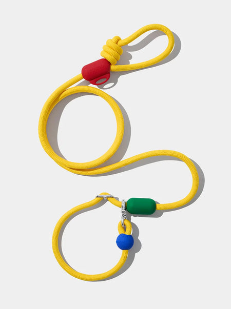 Connect Hands-Free Rope Leash - Chroma