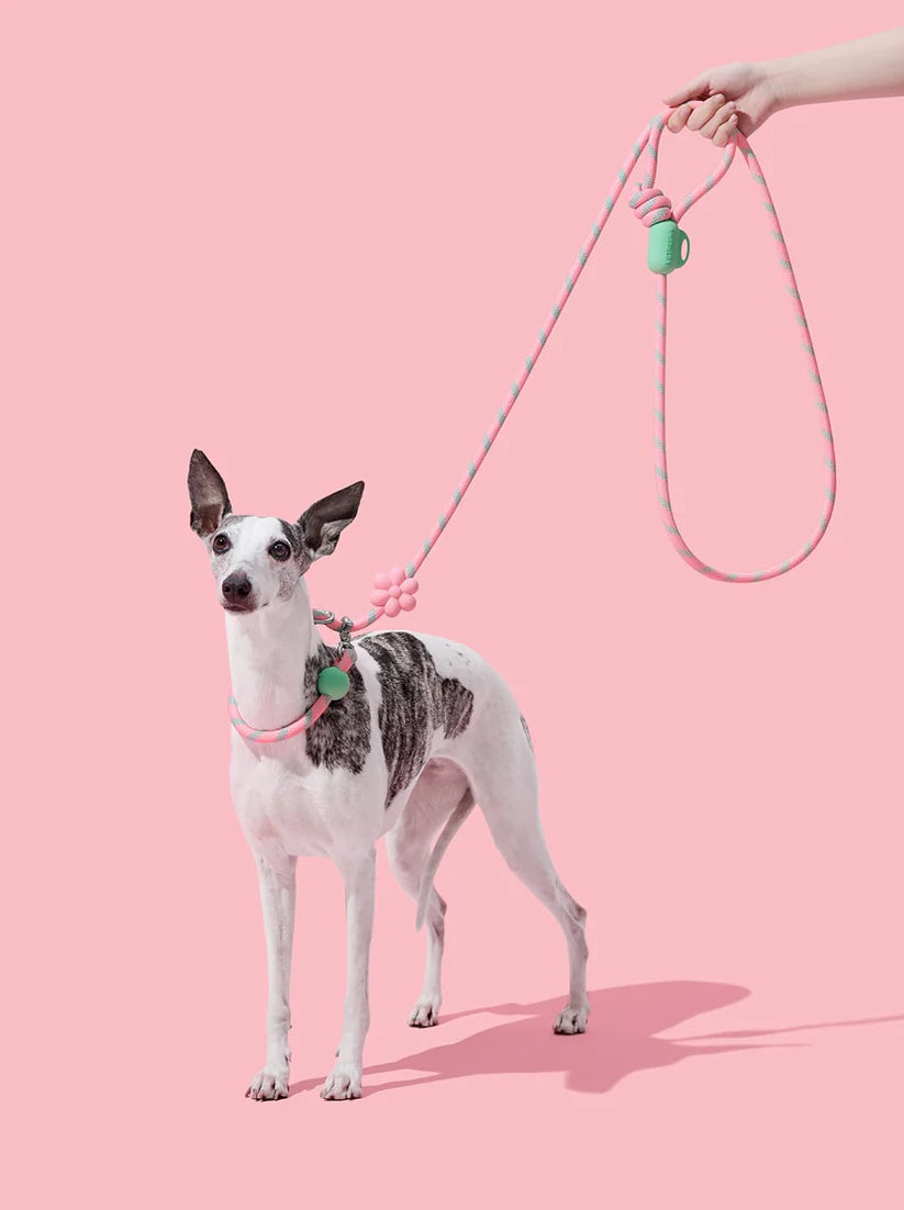 Connect Hands-Free Rope Leash - Flora