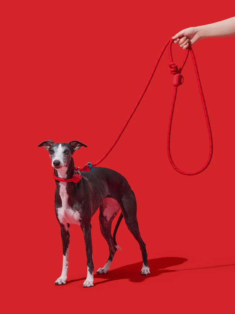 Connect Hands-Free Rope Leash - Strawberry