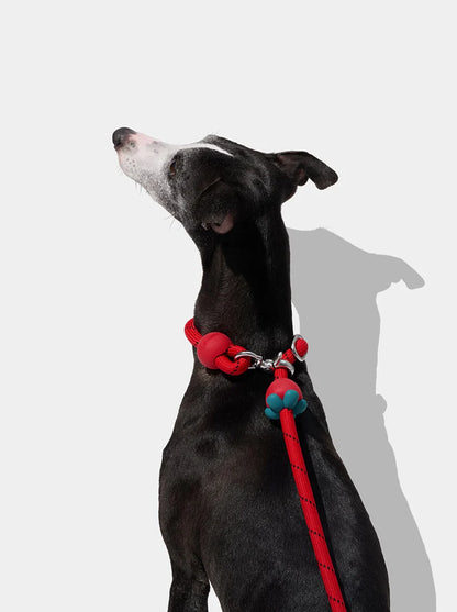 Connect Hands-Free Rope Leash - Strawberry