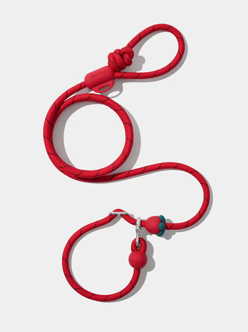Connect Hands-Free Rope Leash - Strawberry