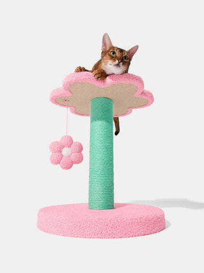 Flora Cat Climber - Two Platforms