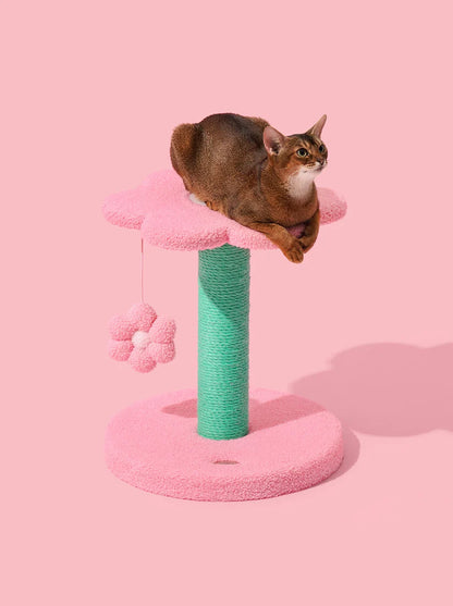 Flora Cat Climber - Two Platforms