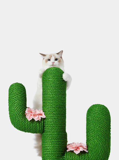 Blooming Cactus Cat Tree