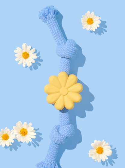 Playful Charm Knot Rope Toy Daisy