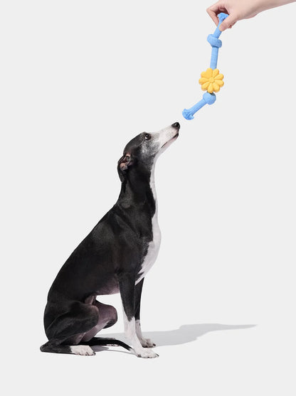 Playful Charm Knot Rope Toy Daisy