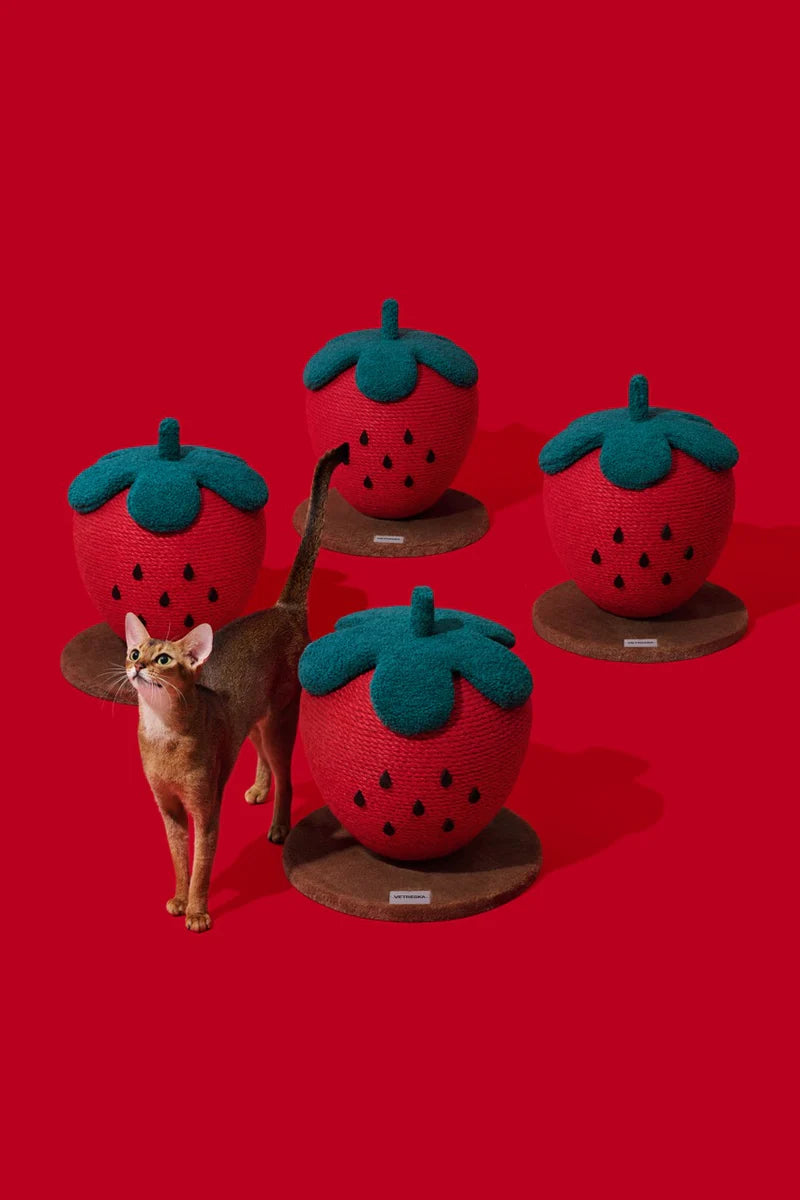 Strawberry Cat Scratching Ball