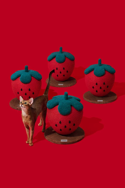Strawberry Cat Scratching Ball