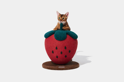 Strawberry Cat Scratching Ball