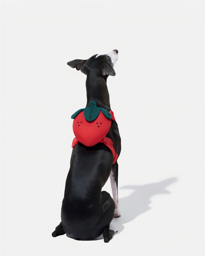 Strawberry Pet Backpack, Harness & Leash Set