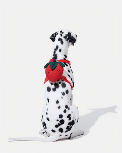 Strawberry Pet Backpack, Harness & Leash Set