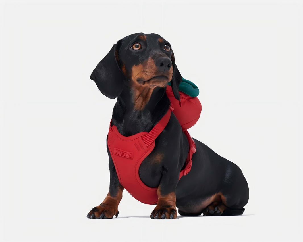 Strawberry Pet Backpack, Harness & Leash Set