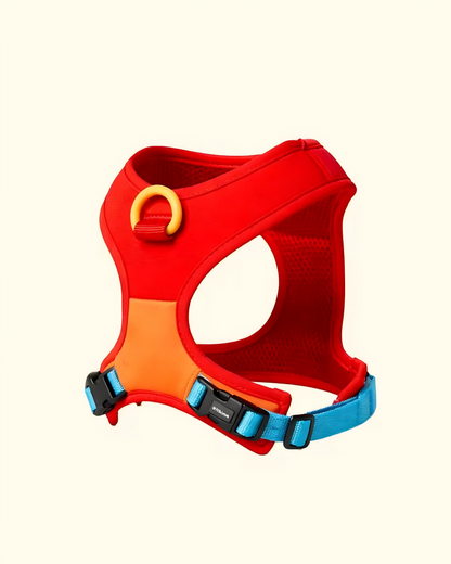 Dopamine Harness and Leash