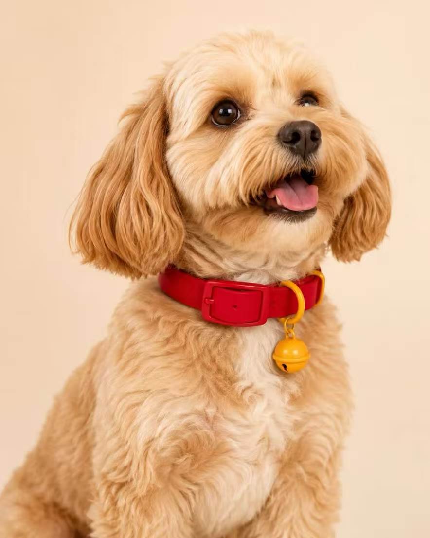 ēlthino Adjustable Pet Bell Collar