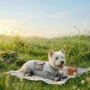 All-in-One Summer Dog Shield UPF 50+ Sun Protection & Bug-Proof Full Body Cooling Suit