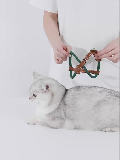 Active Traverse Cat Harness & Leash Set